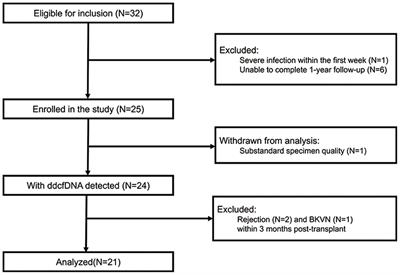 Dynamics of Donor-Derived Cell-Free DNA at the Early Phase After Pediatric Kidney Transplantation: A Prospective Cohort Study